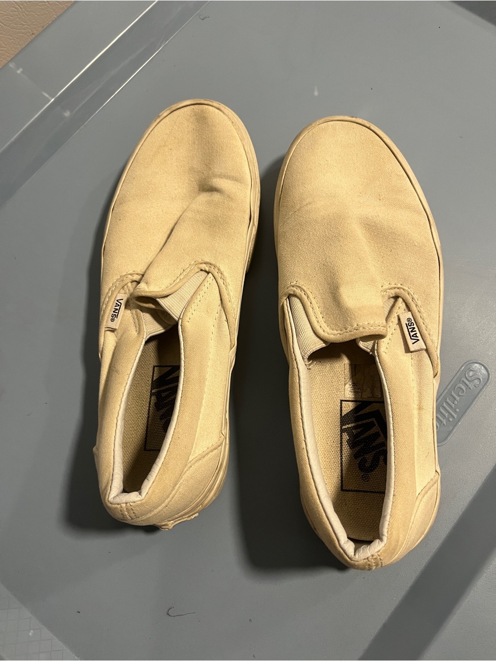 Vans Men’s Slip-On Canvas Shoes in Light Beige